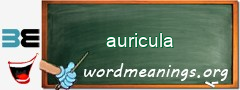 WordMeaning blackboard for auricula